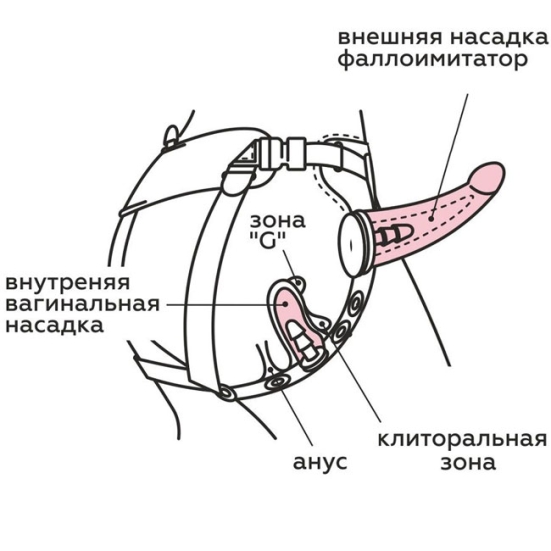 Страпон с 3 насадками Harness 6" Long