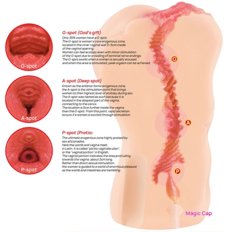 Мастурбатор-вагина Kokos Adel Onahole 001